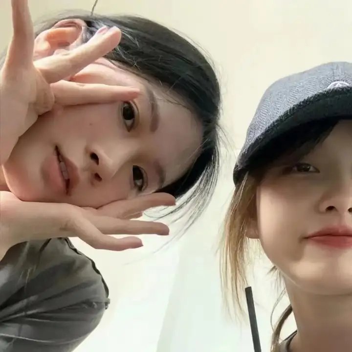 黑莲花凤鸣天下